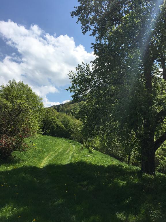 Ferienhaus Hochbrand Rabenstein Esterno foto