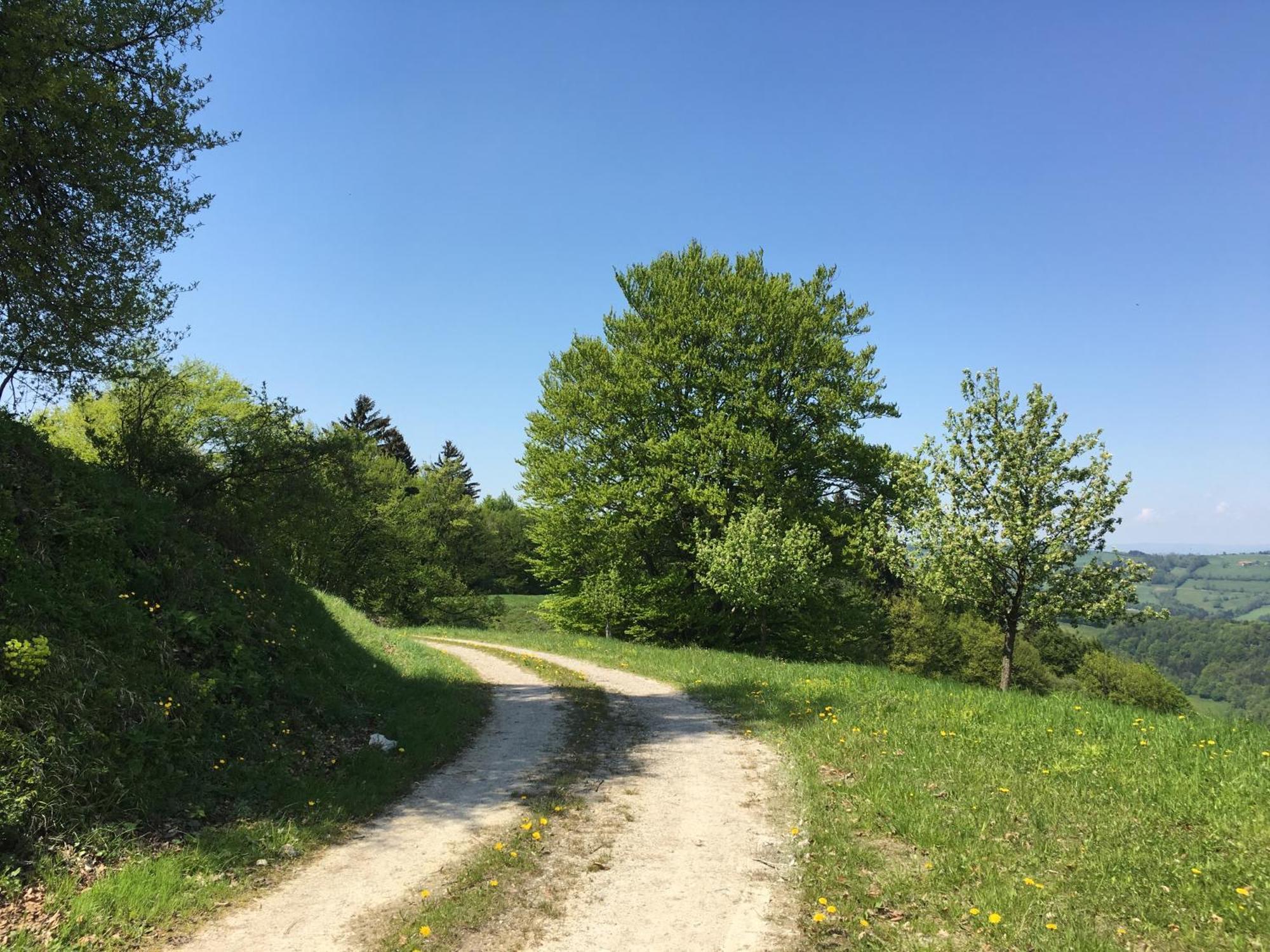 Ferienhaus Hochbrand Rabenstein Esterno foto