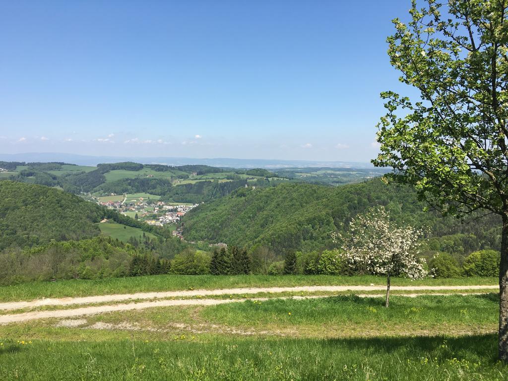 Ferienhaus Hochbrand Rabenstein Esterno foto